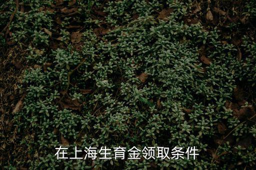 在上海生育金領取條件