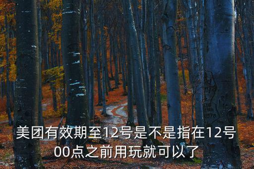 美團(tuán)有效期至12號是不是指在12號00點(diǎn)之前用玩就可以了