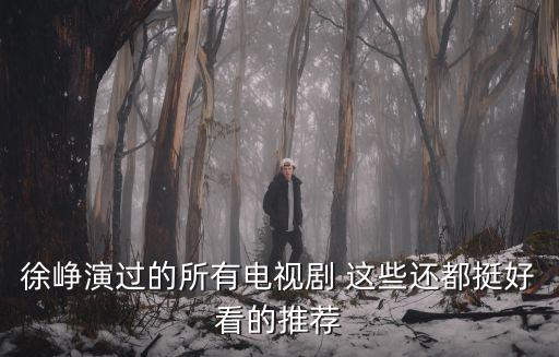 徐崢演過的所有電視劇 這些還都挺好看的推薦