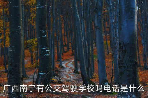 廣西南寧有公交駕駛學校嗎電話是什么