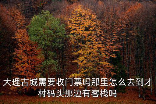 大理古城需要收門票嗎那里怎么去到才村碼頭那邊有客棧嗎