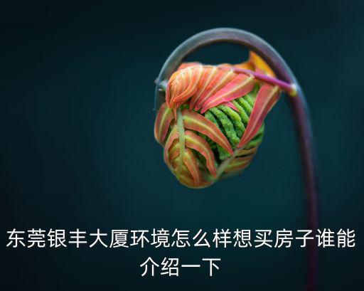 東莞銀豐大廈環(huán)境怎么樣想買房子誰能介紹一下