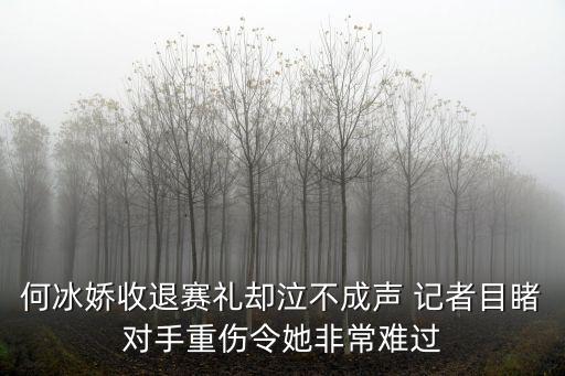 何冰嬌收退賽禮卻泣不成聲 記者目睹對(duì)手重傷令她非常難過(guò)