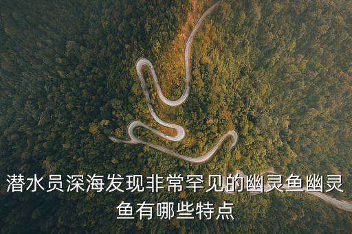 潛水員深海發現非常罕見的幽靈魚幽靈魚有哪些特點