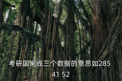 考研國家線三個數據的意思如285 41 52
