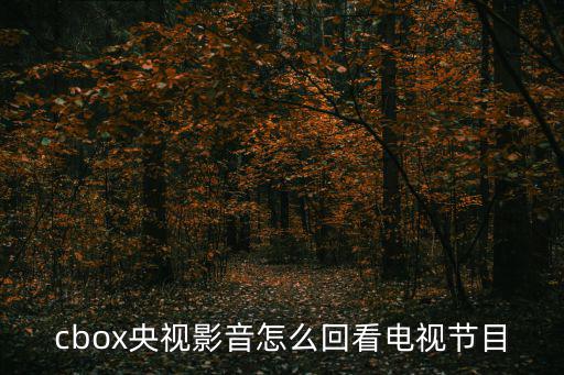 cctv1回看，如何回看中央一臺2016年315日生活圈欄目