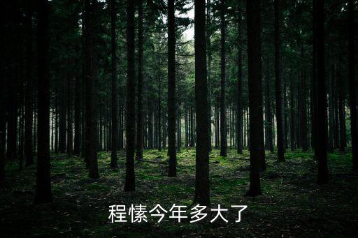 程愫今年多大了