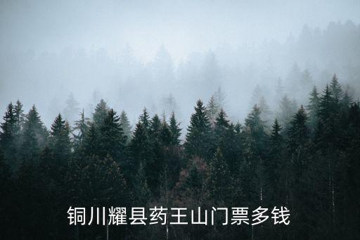 銅川耀縣藥王山門票多錢