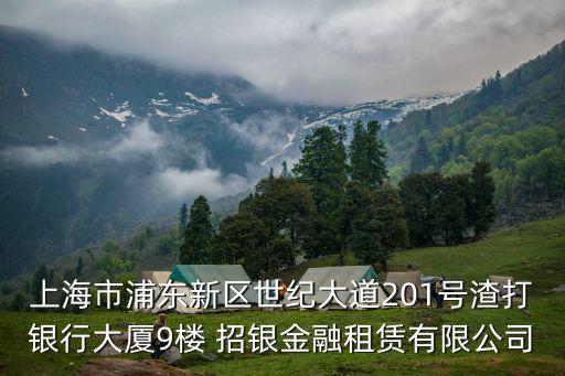 上海市浦東新區(qū)世紀大道201號渣打銀行大廈9樓 招銀金融租賃有限公司