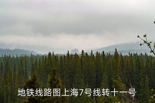 地鐵線路圖上海7號線轉十一號