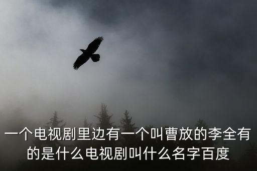 一個電視劇里邊有一個叫曹放的李全有的是什么電視劇叫什么名字百度