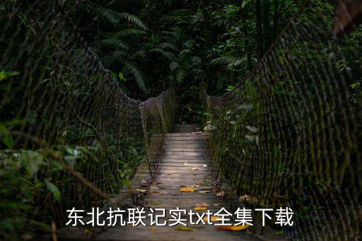 東北抗聯記實txt全集下載