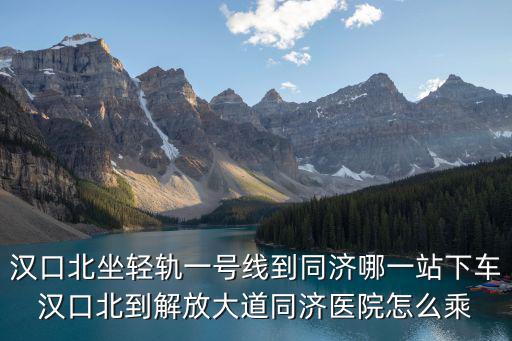 漢口北坐輕軌一號線到同濟(jì)哪一站下車漢口北到解放大道同濟(jì)醫(yī)院怎么乘
