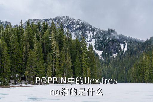POPPIN中的flex fresno指的是什么