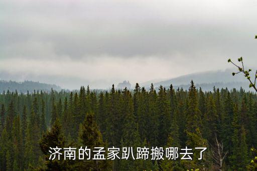 孟家扒蹄，濟(jì)南的孟家趴蹄搬哪去了