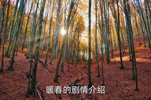 暖春的劇情介紹
