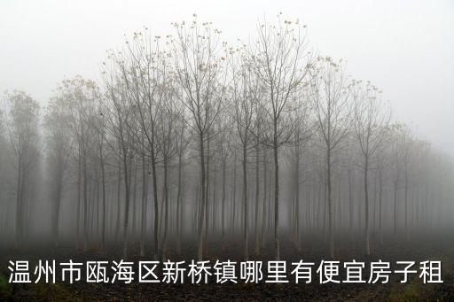溫州市甌海區新橋鎮哪里有便宜房子租