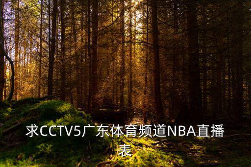 求CCTV5廣東體育頻道NBA直播表