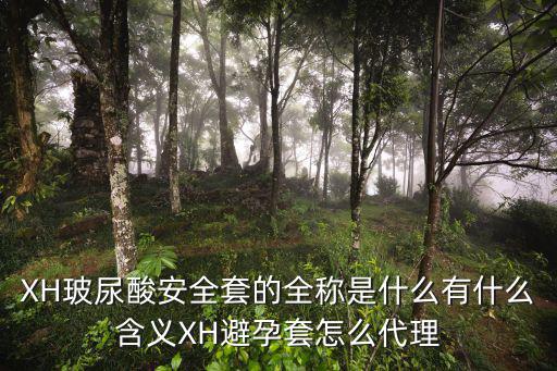 XH玻尿酸安全套的全稱是什么有什么含義XH避孕套怎么代理