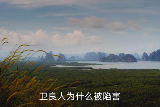 衛良人為什么被陷害