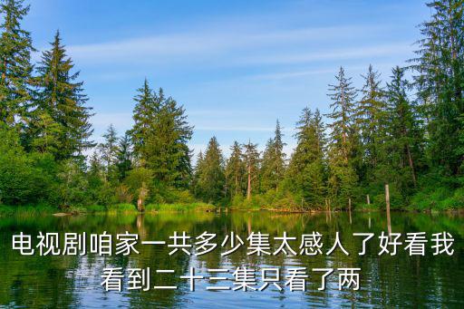 電視劇咱家一共多少集太感人了好看我看到二十三集只看了兩