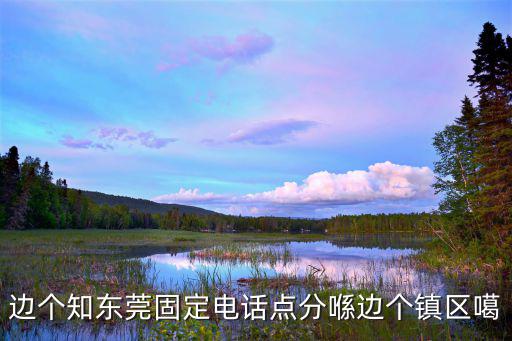邊個知東莞固定電話點分喺邊個鎮區噶