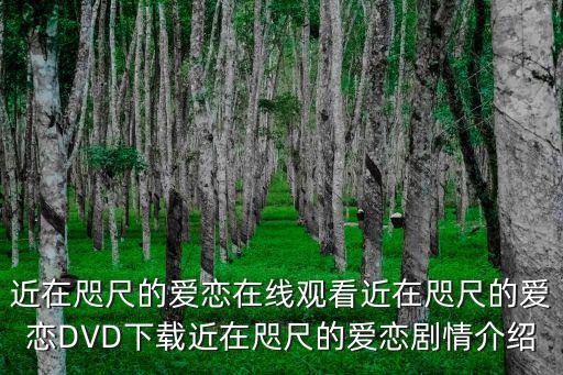 近在咫尺的愛戀在線觀看近在咫尺的愛戀DVD下載近在咫尺的愛戀劇情介紹