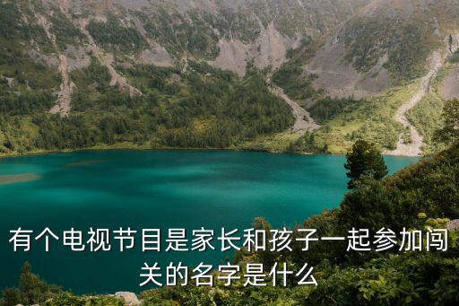 有個電視節目是家長和孩子一起參加闖關的名字是什么