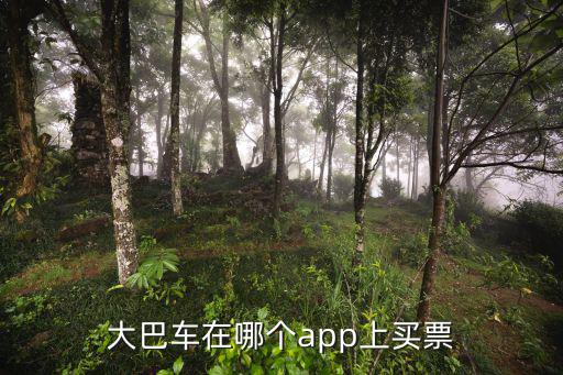 大巴車在哪個app上買票