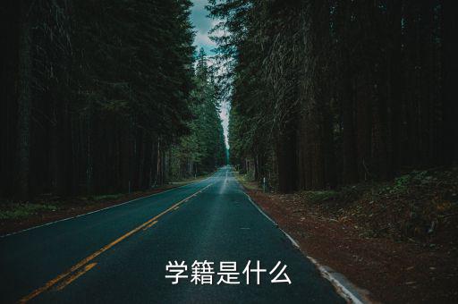 學(xué)籍是什么