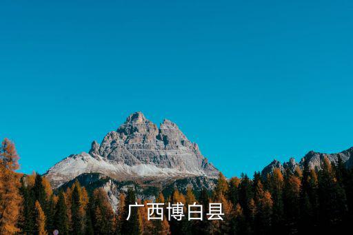 廣西博白縣