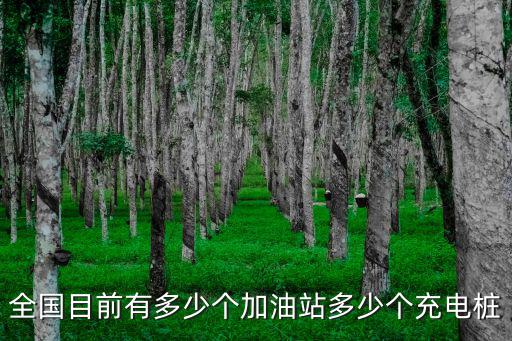 全國目前有多少個加油站多少個充電樁