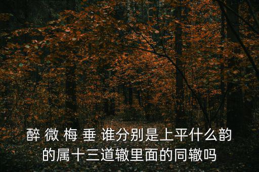 醉 微 梅 垂 誰(shuí)分別是上平什么韻的屬十三道轍里面的同轍嗎