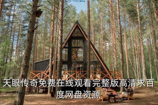 天眼傳奇免費(fèi)在線觀看完整版高清求百度網(wǎng)盤資源