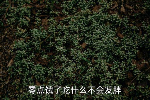 零點餓了吃什么不會發胖