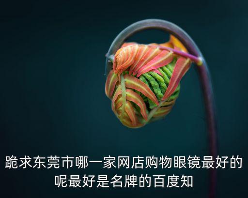 跪求東莞市哪一家網(wǎng)店購(gòu)物眼鏡最好的呢最好是名牌的百度知