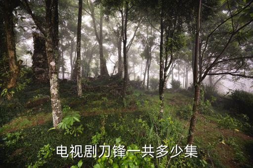 電視劇刀鋒一共多少集