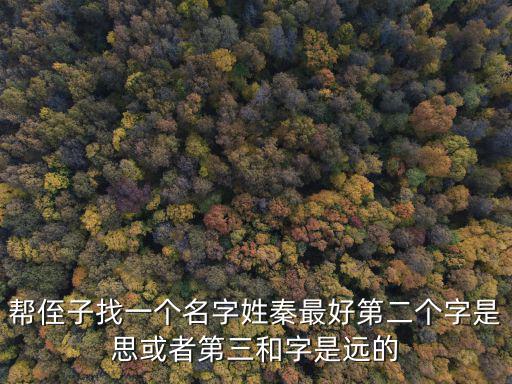 幫侄子找一個名字姓秦最好第二個字是思或者第三和字是遠的