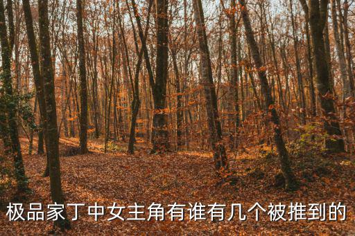 極品家丁中女主角有誰有幾個被推到的