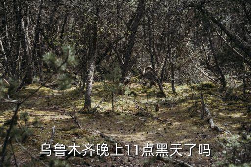烏魯木齊晚上11點黑天了嗎
