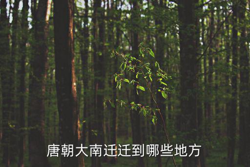 大南遷，唐朝大南遷遷到哪些地方