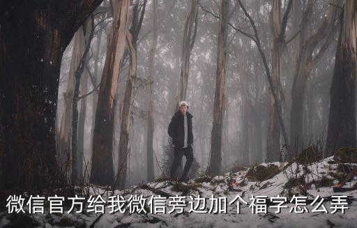 微信加個福，微信加v是什么意思