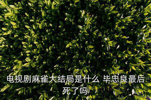 電視劇麻雀大結(jié)局是什么 畢忠良最后死了嗎