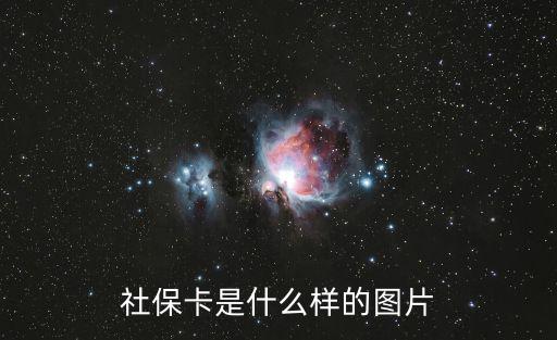 社保卡是什么樣的圖片