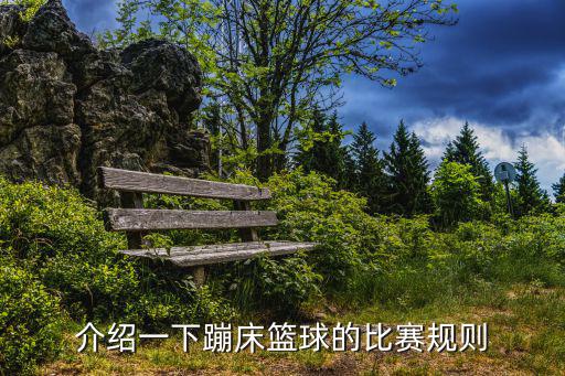 蹦床籃球，帶蹦床的籃球叫什么