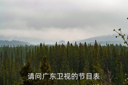 請問廣東衛視的節目表