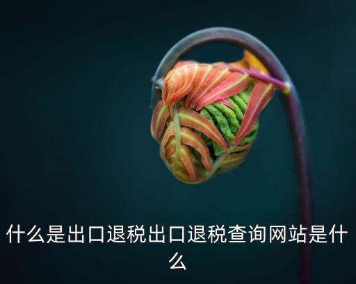 退稅查詢，什么是出口退稅出口退稅查詢網(wǎng)站是什么
