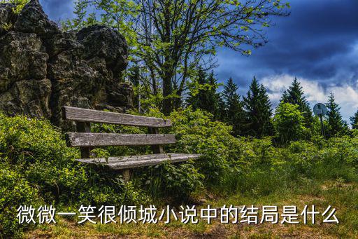 微微一笑很傾城結局，微微一笑很傾城小說中的結局是什么