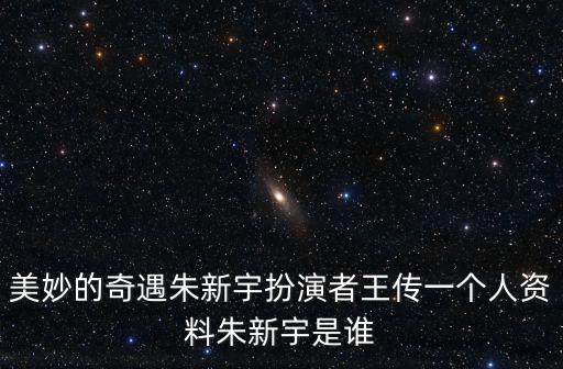 美妙的奇遇朱新宇扮演者王傳一個人資料朱新宇是誰