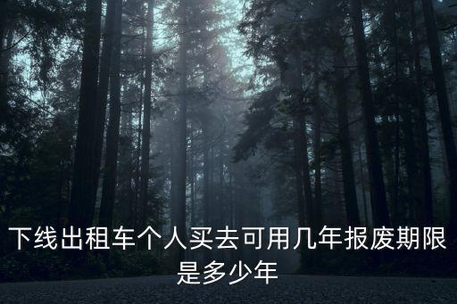 下線出租車個人買去可用幾年報廢期限是多少年